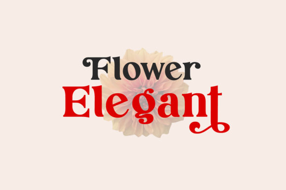 Dream Letter Display Serif Font