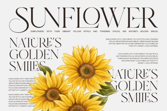 Fresh Grapes Serif Font