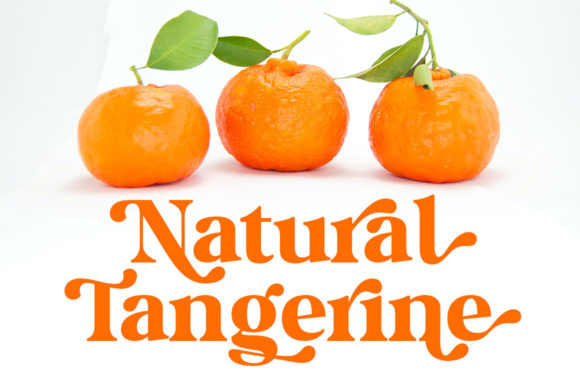 Milk and Honey Serif Font