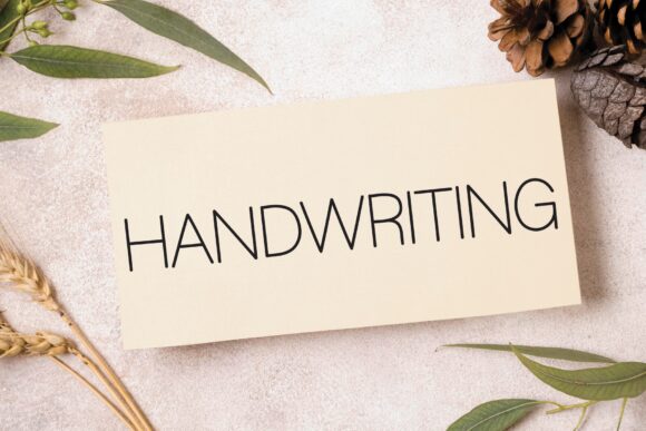 Minimalist Sans Serif Font 