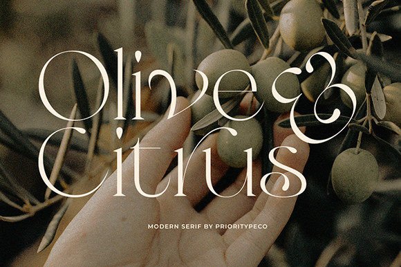 Olive & Citrus Serif Fonts