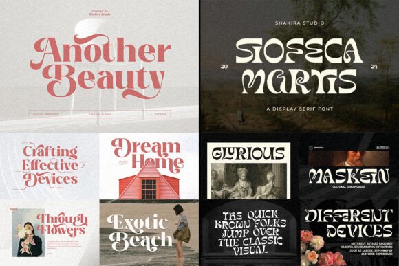 Modern Retro Serif Font Bundle