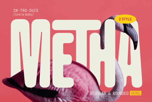 Metha Sans Serif Font