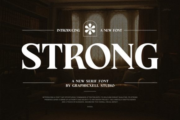 Strong Serif Font