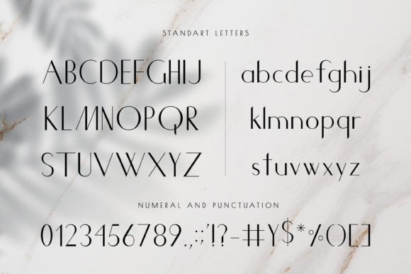 Chic Sans Serif Font for fashion branding example