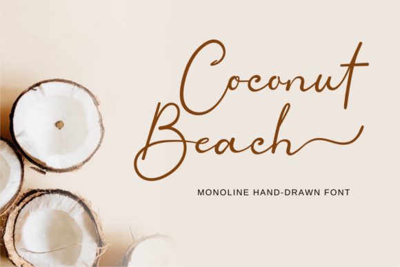 Coconut Beach Script Font alphabet preview