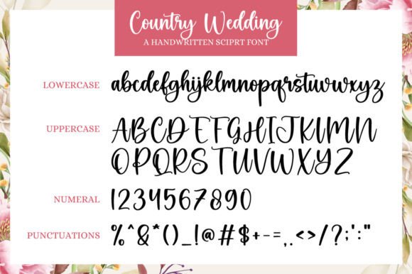Country Wedding Font-Delicate and refined Country Wedding script font featuring elegant, stylish characters on a neutral background.