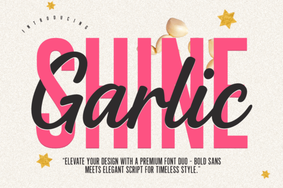 Garlic Shine Sans Serif Font