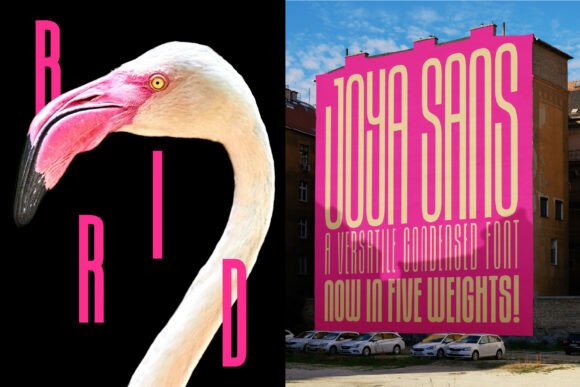 Joya Sans Serif Font