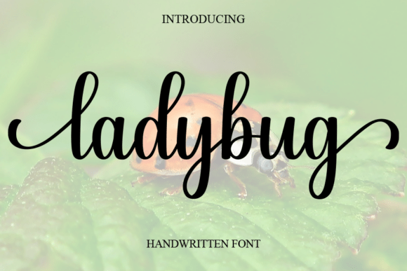 Ladybug Script Font-Ladybug script font display featuring elegant yet casual handwriting, ideal for fashion lookbooks and romantic branding projects