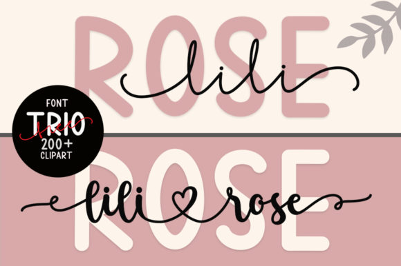 Lilirose Script Font-Playful and feminine script font Lilirose with graceful loops and bouncy rhythm for beauty branding and lifestyle blogs.