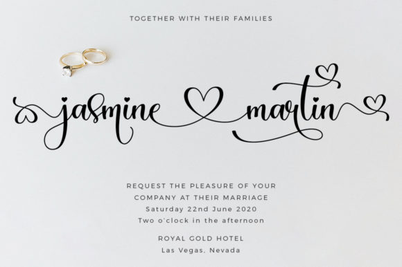 Maddison Script Font-Maddison typeface display showing playful baseline movement and decorative flourishes for creative wedding branding projects.