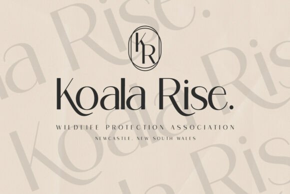 Ragion Sans Serif Font