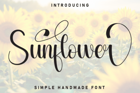Sunflower Script Font-Bright and friendly Sunflower handwritten font specimen with warm, inviting curves and a joyful aesthetic.