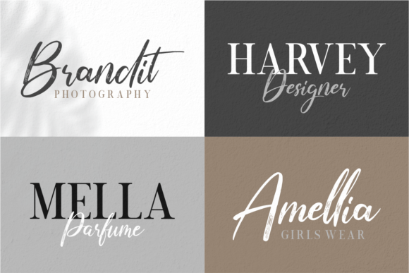 Chrono Sphere Duo Font - Visual example of the Chrono Sphere typeface collection, demonstrating how to mix and match the elegant script and serif fonts alongside clean Sans Serif Fonts for standout branding projects.