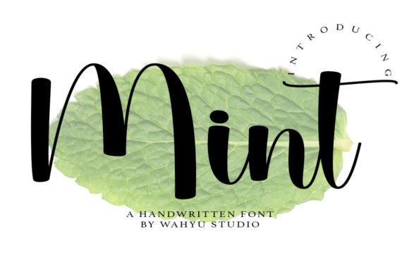 Mint Font-A vibrant typography display of the Mint script font, showcasing whimsical, rounded contemporary lettering paired with clean, structural Sans Serif Fonts.