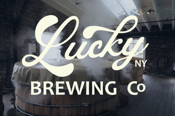 Pregnant Font - A bold retro typography display of the Pregnant script typeface, showing dynamic, flowing letterforms with thick vintage strokes paired contrastingly with clean Sans Serif Fonts.